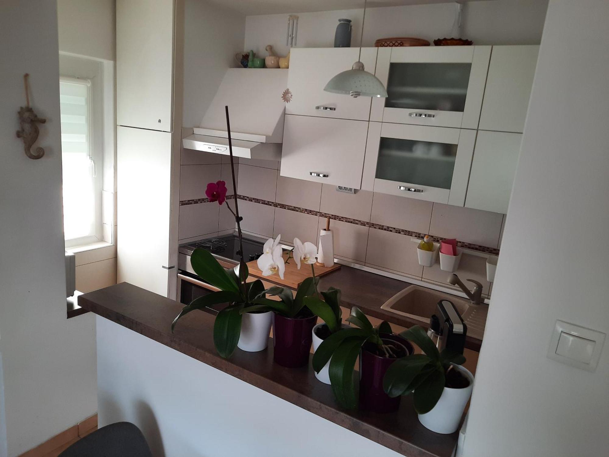 Apartments Anita 크리크베니카 객실 사진